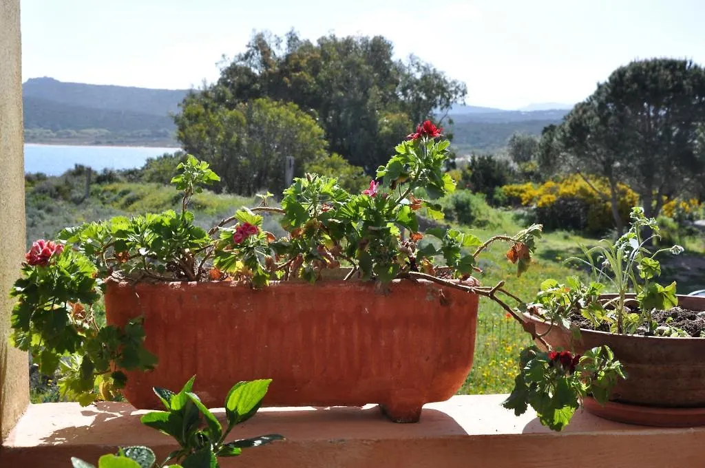 Hotel Le Dune Porto Pollo 3*,